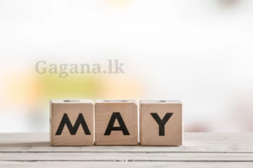 මැයි වෙනකම්ම වෙන්නෙ මෙන්න මේකයි - දැනන් හිටිය ද මෙහෙම දෙයක්?.