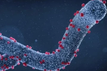 தான்சானியாவில் புதிய வைரஸால் 8 பேர் பலி