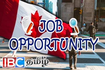 கனடாவில் வேலை வாய்ப்பு குறித்து வெளியான தகவல்