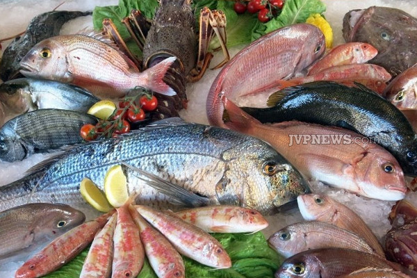 இனிமேல் இப்படியும் மீன் வாங்கலாம்! | You Can Buy Fish Like This From Now On