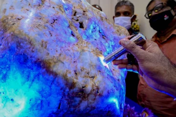 இலங்கை தயாராக இல்லை! 2000 ஆயிரம் கோடிக்கு அதிமான ஆசியாவின் ராணியை வழங்க மறுப்பு (Video)