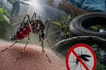 நாட்டில் டெங்கு மரணங்களின் எண்ணிக்கை 75 ஆக உயர்வு
