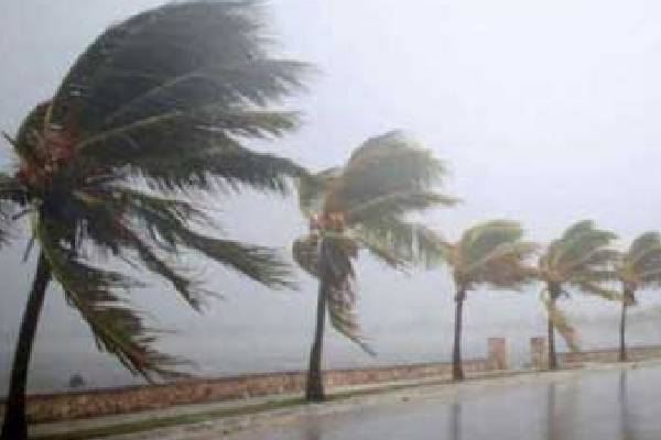 வானிலையில் மாற்றம் ; முல்லைத்தீவு கடற்கரை வழியாக நாட்டிற்குள் நுழையும் தாழமுக்கம் | Low Pressure Entering Country Via Mullaitivu Coast