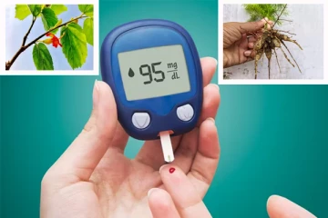 இந்த 3 பொருள் இருந்தால் போதும்... சர்க்கரை நோய் உடனே குணமடைந்து விடுமாம்