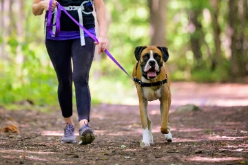 கனடாவில் நாய் வளர்ப்போர் கவனத்திற்கு....