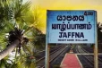 யாழில் வீட்டின் மீது முறிந்து விழுந்த பனைமரம்