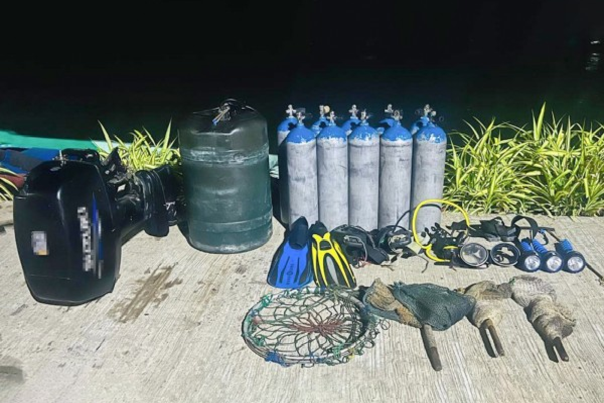 சட்டவிரோத மீன்பிடியில் ஈடுபட்ட 41 பேர் கைது | 41 People Arrested For Illegal Fishing Activities