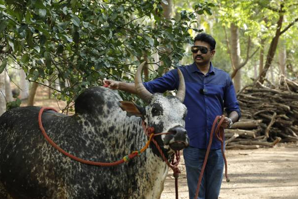 தமிழக முதலைமைச்சர் மு.க ஸ்டாலினை சந்தித்த இலங்கை முக்கியஸ்தர்! | Tn Chief Minister Mk Stalin Met Sri Lankan Person