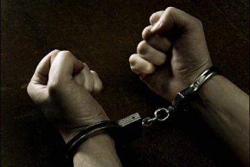 ලංකා මිනරල් සැන්ඩ්ස් හිටපු සභාපති උදේනි දසනායක අල්ලස් කොමිසමෙන් අත්අඩංගුවට