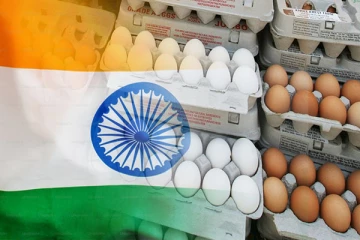 இந்திய முட்டைகள் தொடர்பில் தவறான தகவல்களை பரப்புவோருக்கு சட்ட நடவடிக்கை: சிறி வலிசுந்தர வலியுறுத்தல்- செய்திகளின் தொகுப்பு