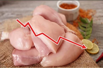கோழி இறைச்சி விலையில் ஏற்பட்டுள்ள மாற்றம்