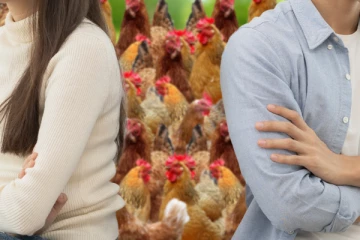 சீனாவில் விநோத விவாகரத்து; கோழியால் பிரிந்த குடும்பம்