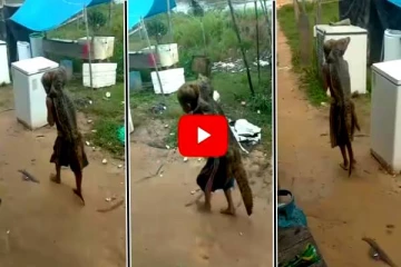 Viral Video: முதலையுடன் சேர்ந்து உப்பு மூட்டை விளையாடும் சிறுவன்