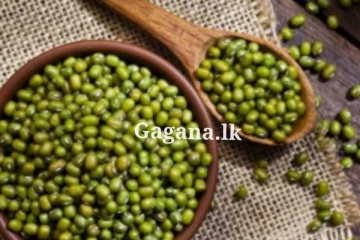 මුං ඇට සදහා සහතික මිලක් හඳුන්වා දීමට අගමැතිගෙන් උපදෙස්...