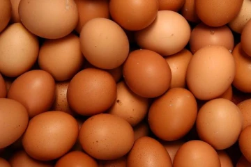 முட்டை விலை தொடர்பில் எடுக்கப்பட்டுள்ள தீர்மானம்