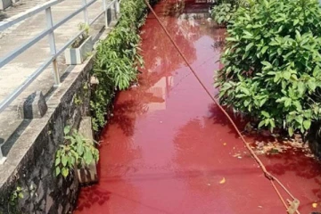 இலங்கையின் முக்கிய பகுதியில் சிவப்பு நிறமாக மாறிய கால்வாய் ; விசாரணையில் வெளியான தகவல்