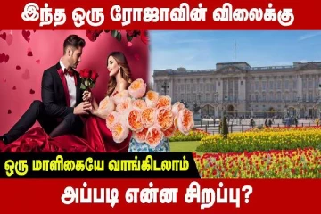 உலகிலேயே விலை உயர்ந்த ரோஜா இது தான்! இத்தனை கோடியா?