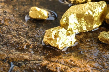 விடுதலைப் புலிகளின் தங்கத்தை இரகசியமாக தோண்டி எடுக்க முயற்சித்தனரா அமைச்சு செயலாளர்கள்? வெளிவந்த தகவல்