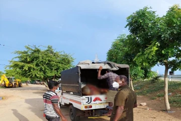 சட்டவிரோதமான முறையில் வெட்டப்பட்ட மாட்டு இறைச்சியுடன் ஒருவர் கைது