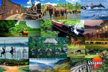 අනේ අපේ පුංචි රට මුලු ලෝකෙම දින්නා -ලොව අලංකාරම දුපත්වලින් ශ්‍රී ලංකාවට පළමු තැන