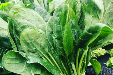 நீரிழிவு நோயை நெருங்க விடாது தடுக்கும் சக்திவாய்ந்த கீரை….ஒரு ரூபாய் கூட செலவே இல்லாமல் மருந்து!