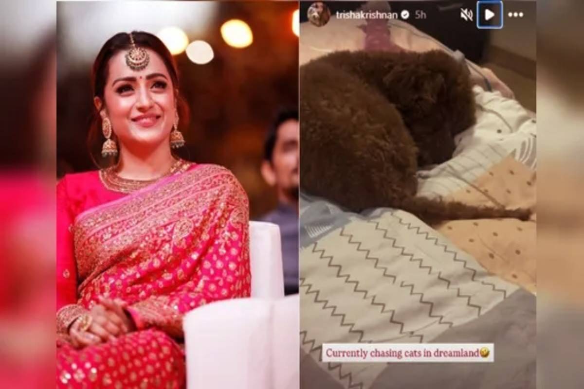 த்ரிஷாவின் நாய் வீடியோவால் எழுந்த புதிய சர்ச்சை - புலம்பிய இணையவாசிகள் | Trisha Dog Video Post New Controversy On Internet