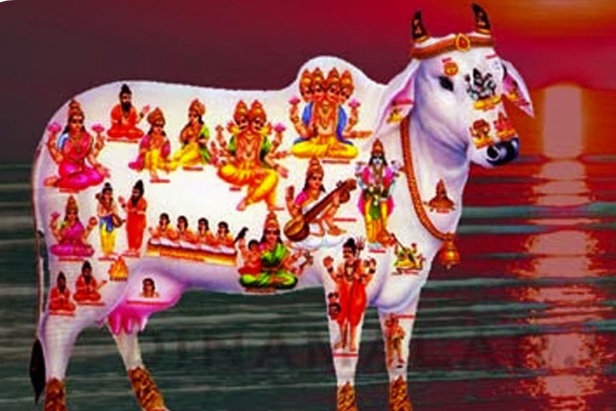 யார் இந்த முப்பத்து முக்கோடி தேவர்கள் ? எங்கே இருக்கிறார்கள்? | Who Are The 33 Crore Hindu Gods Where Do They Live