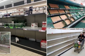 பிரித்தானியாவில் உணவு பற்றாக்குறை! - இங்கிலாந்து மக்களுக்கு ஏற்பட போகும் நெருக்கடி