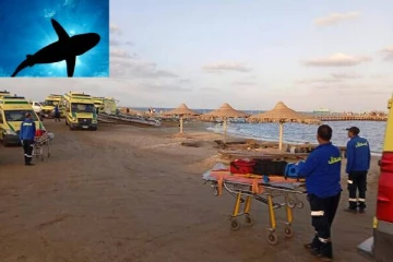 ஐரோப்பிய சுற்றுலாப்பயணிக்கு எகிப்தில் நேர்ந்த சோகம்