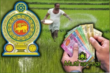 வெள்ளத்தினால் பாதிக்கப்பட்ட விவசாயிகளுக்கு இழப்பீடு