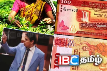 மலையகத்திலும் அரசியல் செய்வேன்! அநுர தரப்புக்கு அர்ச்சுனா எச்சரிக்கை