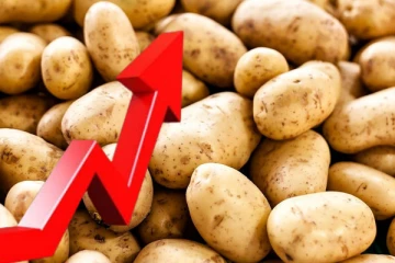 கிழங்கு விலையில் அதிகரிப்பு