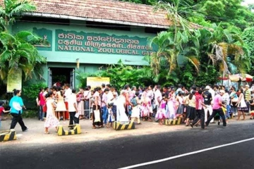 தெஹிவளை மிருகக்காட்சிசாலையை பார்வையிட இலவச வாய்ப்பு