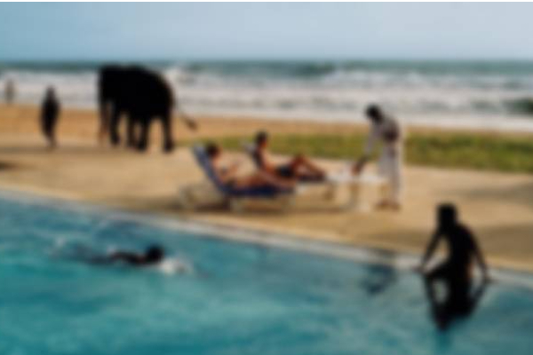வெளிநாடொன்றில் இருந்து வந்த தம்பதிக்கு நேர்ந்த சோகம் | Tourist Family Attacked In Sri Lanka
