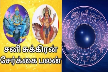 சனியின் பிடியில் சுக்கிரன் - தலைகீழாக மாறப்போகும் 3 ராசிகளின் விதி!