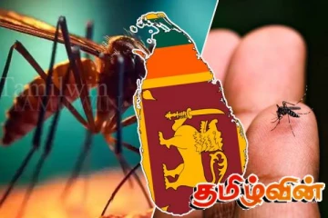 பொகவந்தலாவையில் அறுவருக்கு சிக்குன்குனியா தொற்று