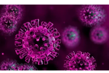 ஓமைக்ரானை தொடர்ந்து மிரட்டும் டெல்மைக்ரான் - மஹாராஷ்டிரா மருத்துவர்கள் அதிர்ச்சி தகவல்