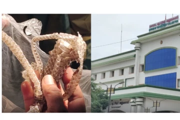 கோவை மாவட்ட ஆட்சியர் அலுவலகத்தில் நாகப் பாம்பு சட்டை கிடந்ததால் பெரும் பரபரப்பு