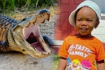 தாய் கொலை செய்யப்பட்டதையடுத்து...முதலையின் வாயில் இருந்த மீட்கப்பட்ட 2 வயது சிறுவனின் உடல்