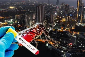 இலங்கையில் கோரத்தாண்டவமாடும் டெங்கு! - பொது மக்களுக்கு எச்சரிக்கை