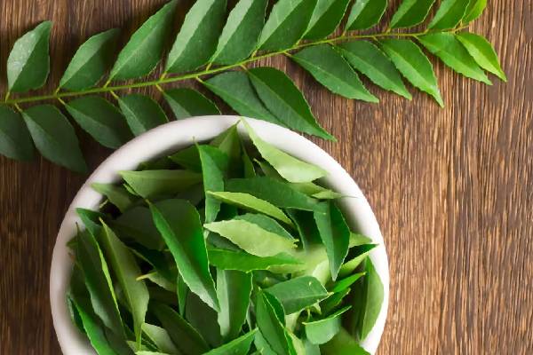 வெறும் வயிற்றில் 7 கருவேப்பிலை... நன்மைகள் ஏராளம் | Curry Leaves In Empty Stomach