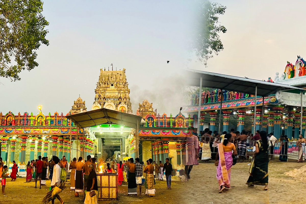 யாழ்ப்பாணம் மட்டுவில் அம்மன் ஆலயத்தில் பெண்ணின் தாலிகொடி திருட்டு; கிளிநொச்சியில் ஒழித்துவைப்பு | Thali Chain Stolen At Madduvil Amman Temple Pongal