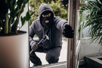 இறந்த கொசுவால் பொலிஸாரிடம் சிக்கிய திருடன்! விசித்திர சம்பவம்