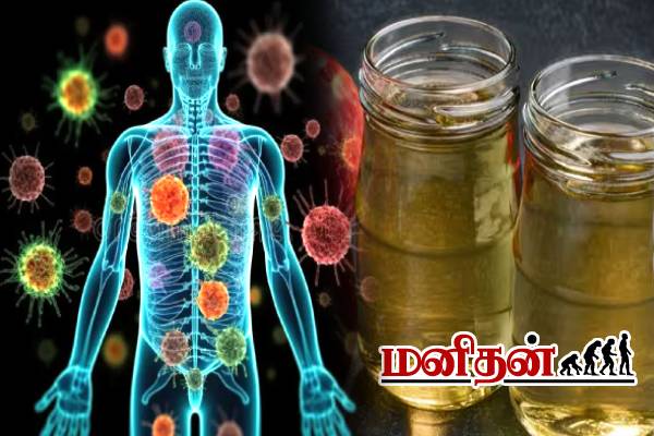 நோய் எதிர்ப்பு சக்தியை BOOST செய்யும் பானங்கள்.. வெறும் வயிற்றில் குடிக்கலாமா? | Best Morning Drinks For Your Health நோய் எதிர்ப்பு சக்தியை BOOST செய்யும் பானங்கள்.. வெறும் வயிற்றில் குடிக்கலாமா? | Best Morning Drinks For Your Health