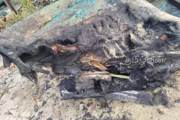 பொலிகண்டி பகுதியில் தீக்கிரையான படகு | Boat Caught Fire In The Poligandi Area