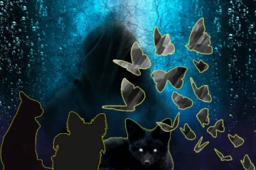 மரணத்தை முன்கூட்டியே கணிக்கும் விலங்குகள் : நிஜமாகும் மூட நம்பிக்கைகள்