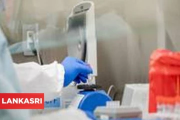 ஜேர்மனியில் 60,000ஐக் கடந்தது கொரோனாவால் பலியானவர்களின் எண்ணிக்கை!