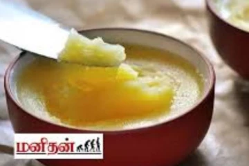 நோய் எதிர்ப்பு சக்தியை அதிகரிக்கும் நெய்.. எந்தெந்த வயதினர் எவ்வளவு சாப்பிடவேண்டும்?