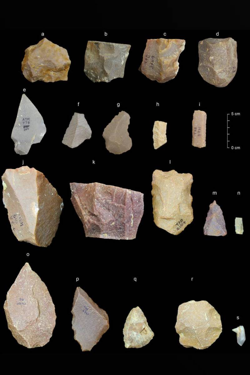 5 லட்சம் ஆண்டுகளுக்கு முன் ஆதி மனிதர்கள் வாழ்ந்த தமிழக இடம்.., எது தெரியுமா? | Where The Earliest Humans Lived In Tami Nadu