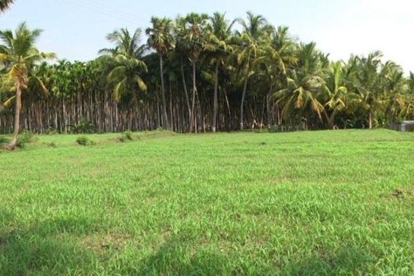 பாரத தேசத்தின் நீதியோ சர்வதேசத்தின் கருணையோ இனியும் கிட்டாது - நாமே வென்றெடுப்போம்! | Tamil Eelam Tna May Day Declaration Genocide India பாரத தேசத்தின் நீதியோ சர்வதேசத்தின் கருணையோ இனியும் கிட்டாது - நாமே வென்றெடுப்போம்! | Tamil Eelam Tna May Day Declaration Genocide India